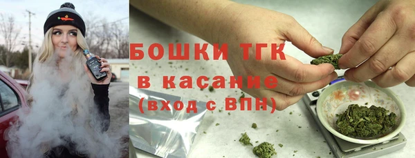 крисы Вязьма