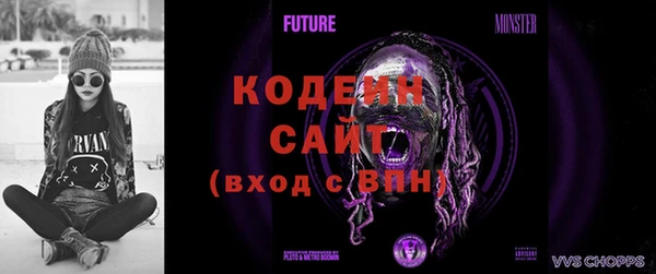 крисы Вязьма