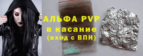 крисы Вязьма