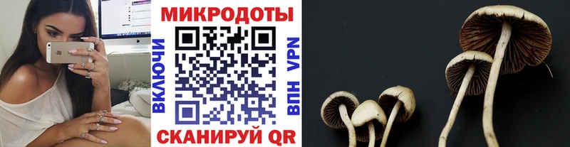 где купить наркотик  Новый Уренгой  Псилоцибиновые грибы MAGIC MUSHROOMS 